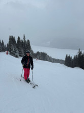 Ski im Winter -Wonderland